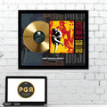 Guns N' Roses Use Your Illusion I Gold Record Framed Wall Art