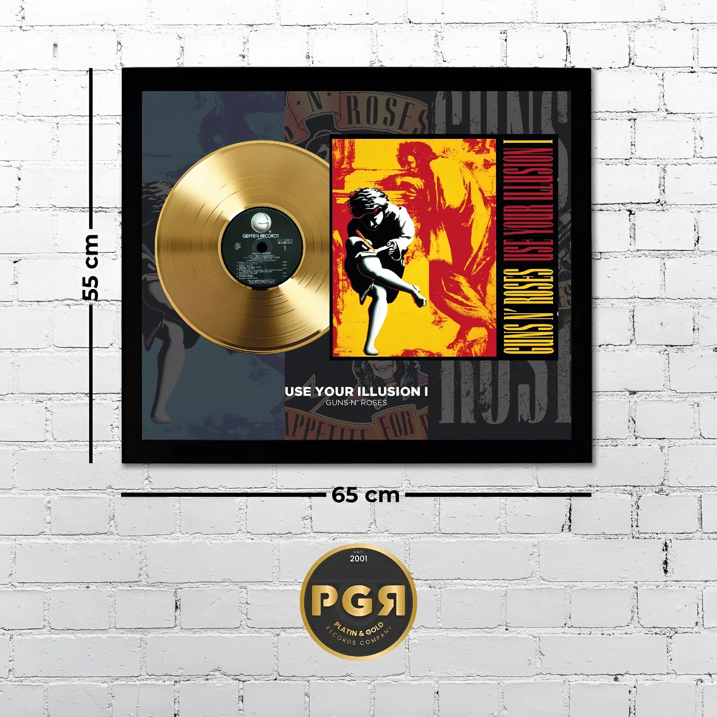 Guns N' Roses Use Your Illusion I Gold Record Framed Wall Art