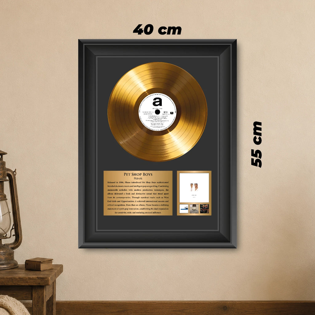Pet Shop Boys Please Gold Record Framed Wall Art Music Memorabilia
