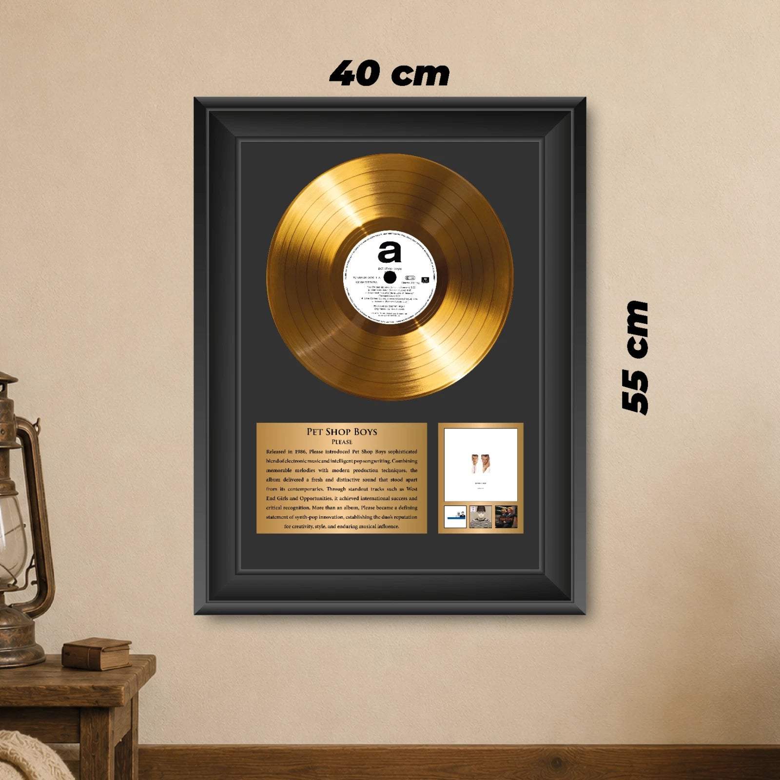 Pet Shop Boys Please Gold Record Framed Wall Art Music Memorabilia
