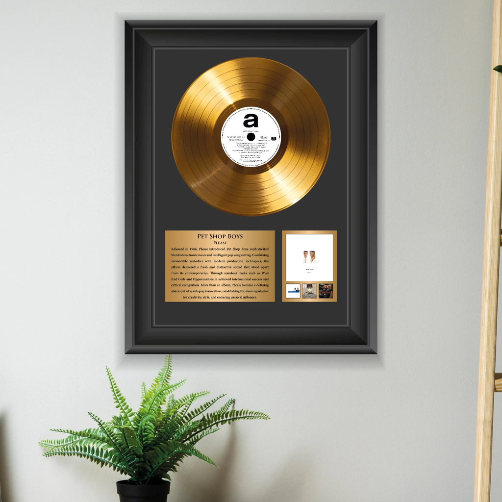 Pet Shop Boys Please Gold Record Framed Wall Art Music Memorabilia