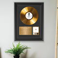 Pet Shop Boys Please Gold Record Framed Wall Art Music Memorabilia