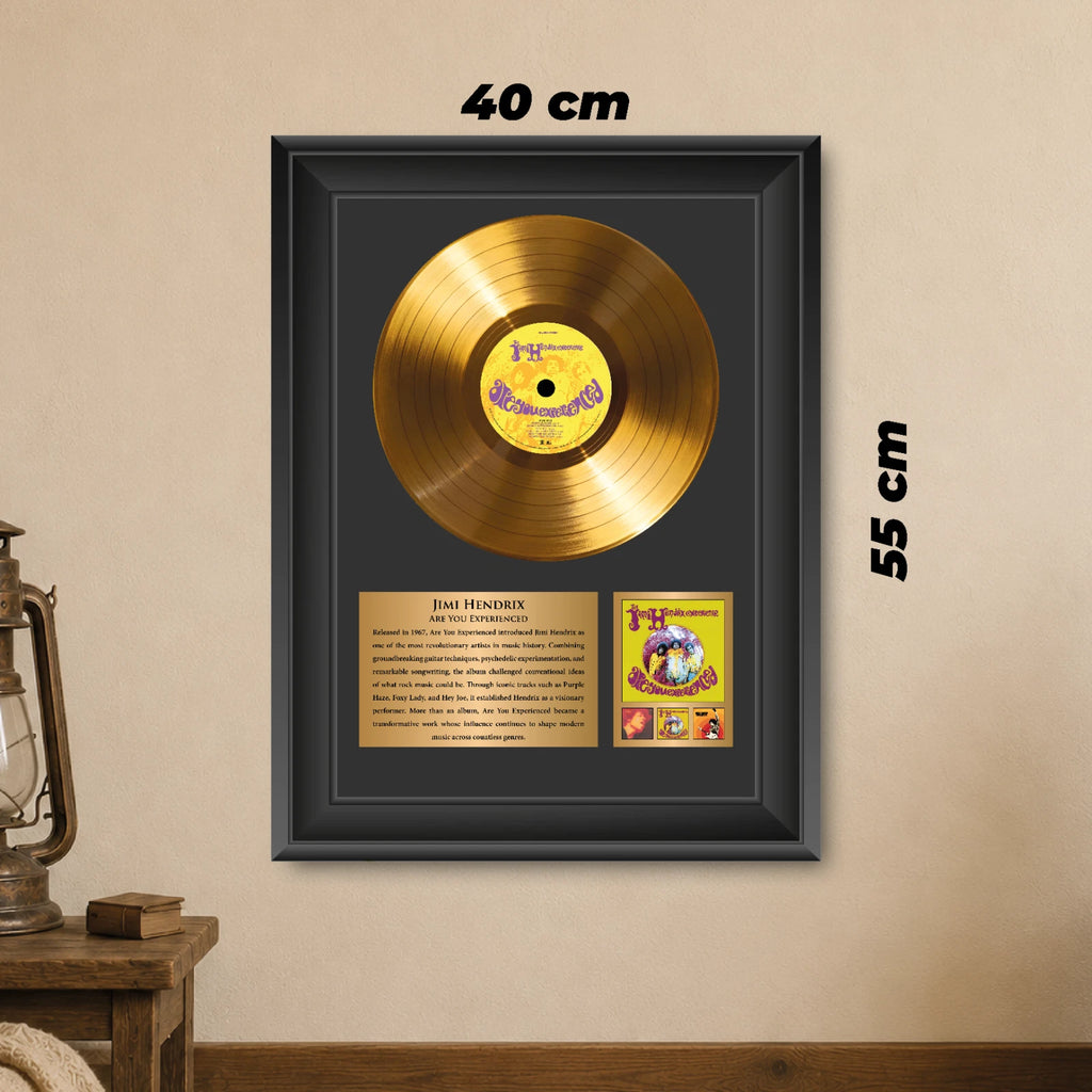 Jimi Hendrix Are You Experienced Gold Record Framed Wall Art Decor