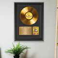 Jimi Hendrix Are You Experienced Gold Record Framed Wall Art Decor