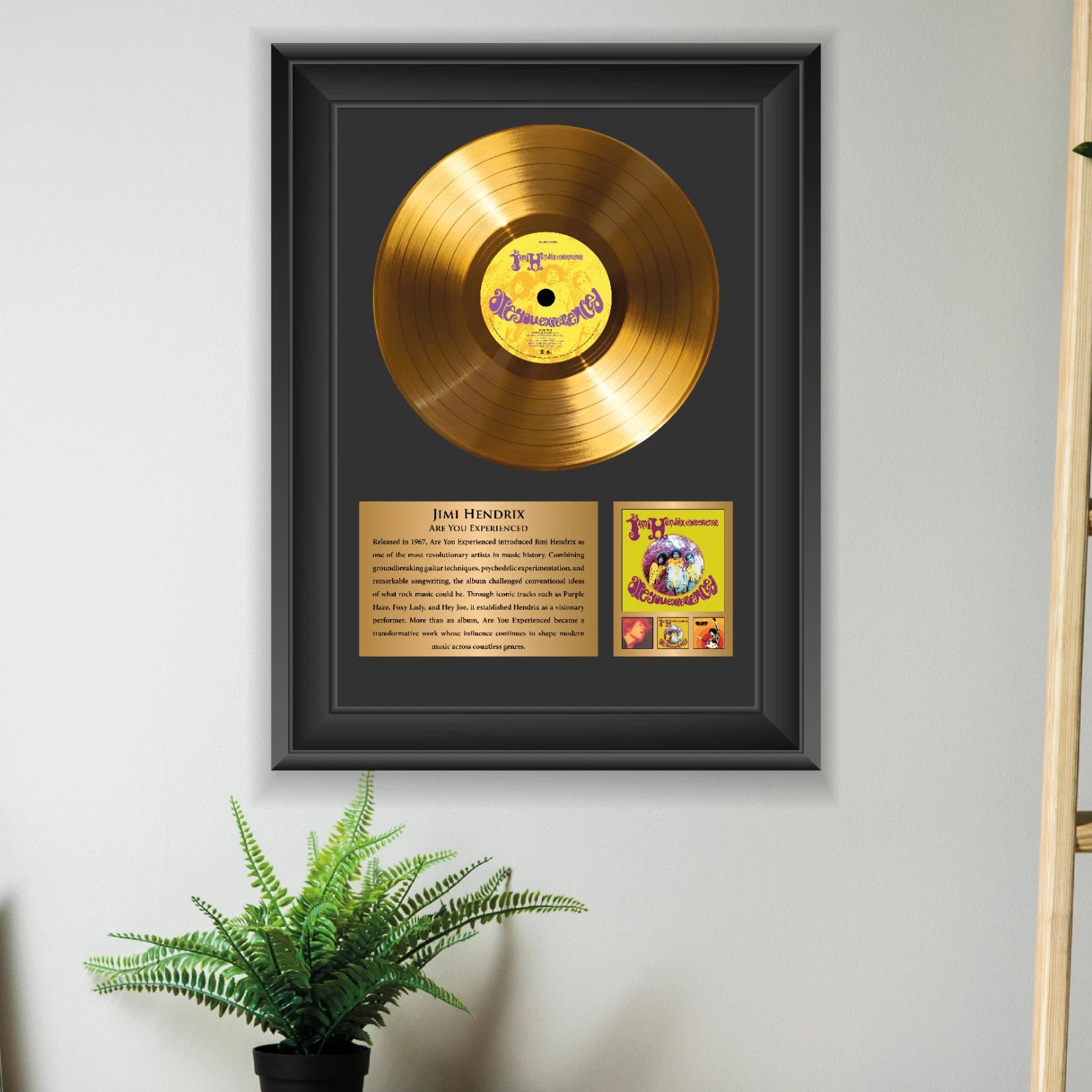 Jimi Hendrix Are You Experienced Gold Record Framed Wall Art Decor