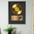 Pink Floyd Meddle Gold Record Framed Wall Art Rock Memorabilia