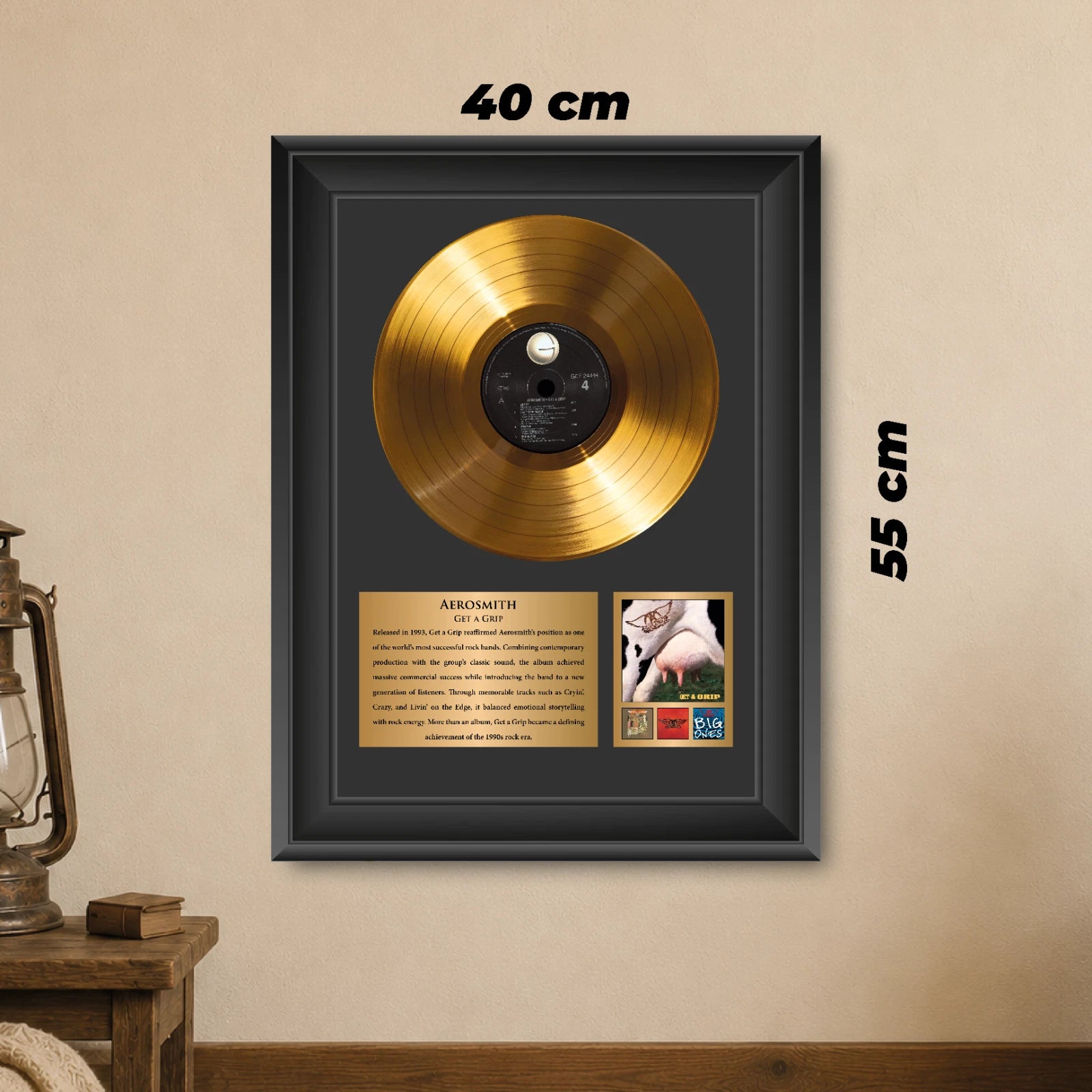Aerosmith Get a Grip Gold Record Framed Wall Art Rock Memorabilia
