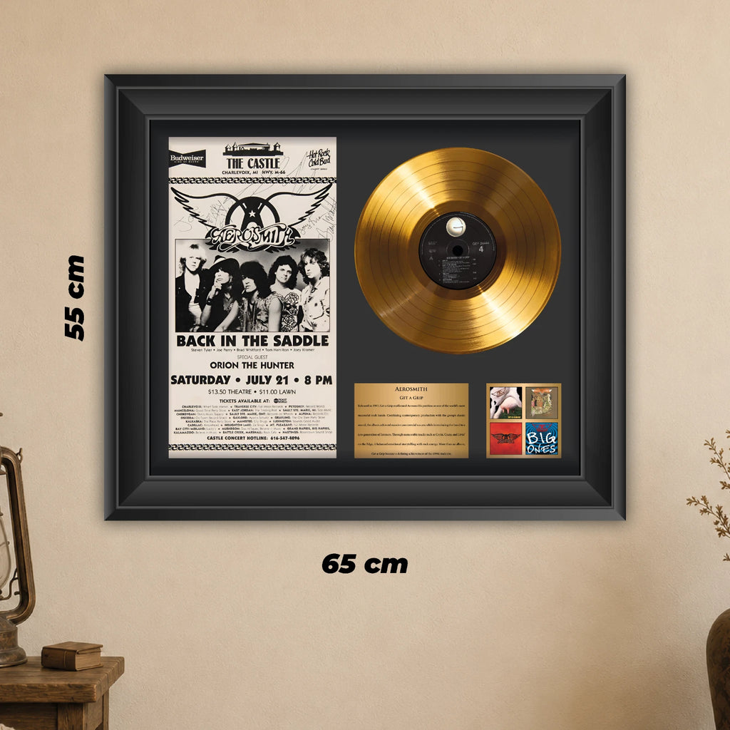 Aerosmith Get a Grip Gold Record Framed Wall Art Rock Memorabilia