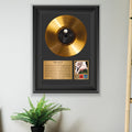 Aerosmith Get a Grip Gold Record Framed Wall Art Rock Memorabilia