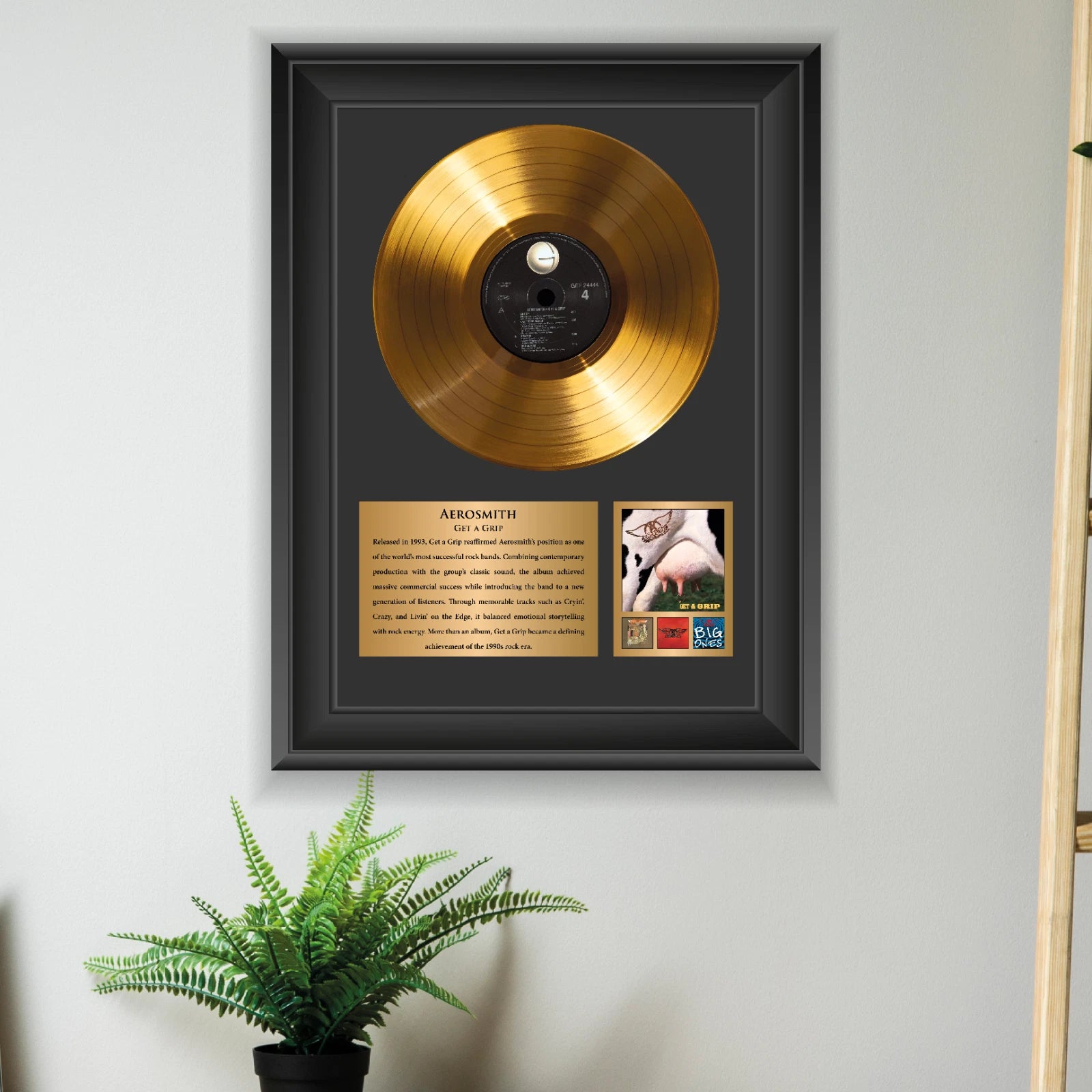 Aerosmith Get a Grip Gold Record Framed Wall Art Rock Memorabilia