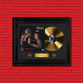 2Pac All Eyez on Me Gold Record Framed Wall Art Hip Hop Memorabilia