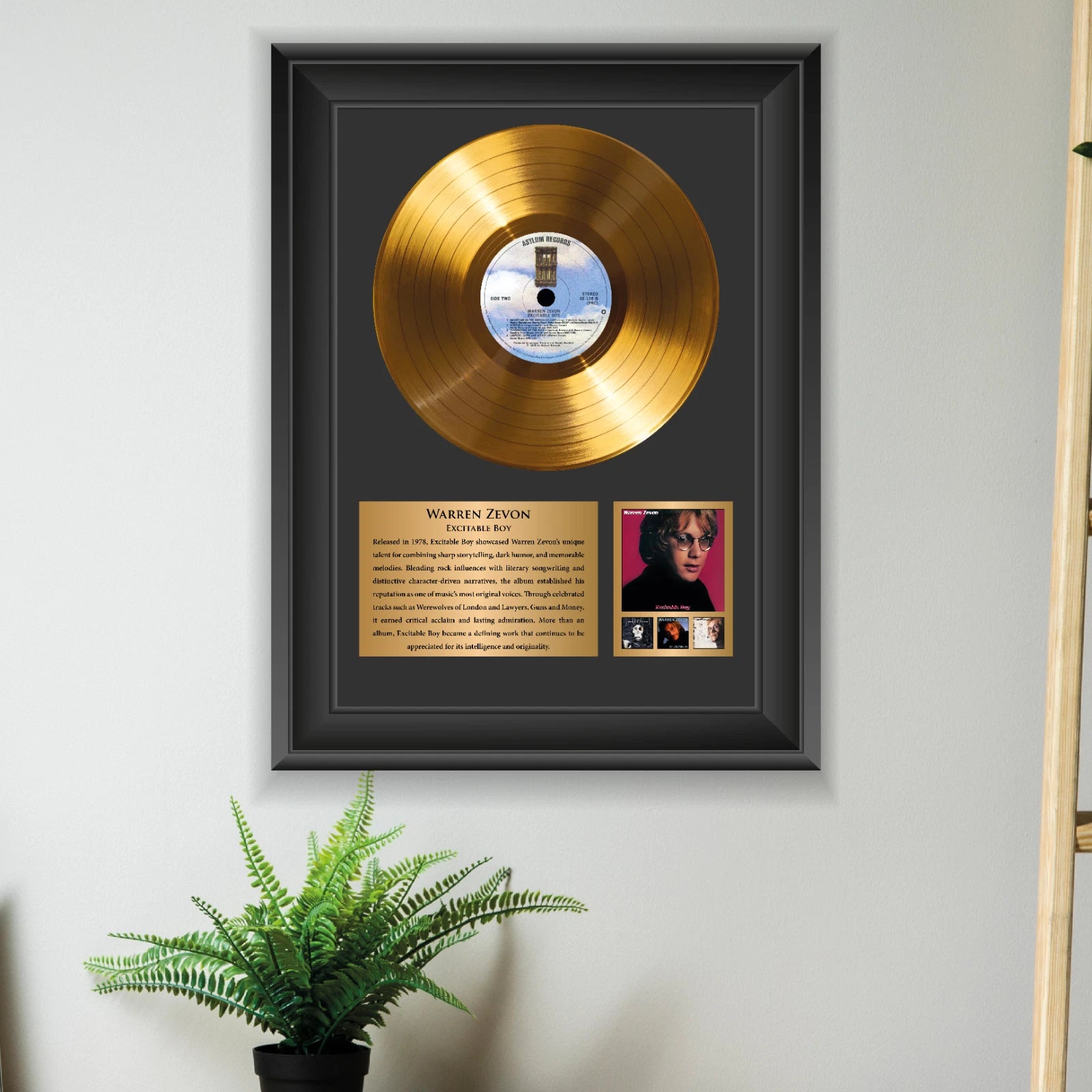 Warren Zevon Excitable Boy Gold Record Framed Wall Art Memorabilia