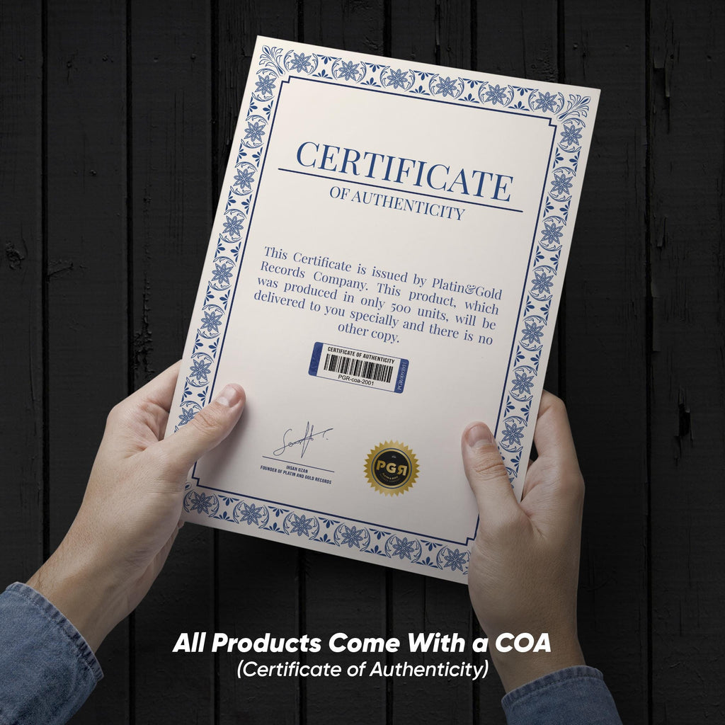 Star Wars Mandolorian – Framed Gold Plated Record Vinyl  – Copy Signed