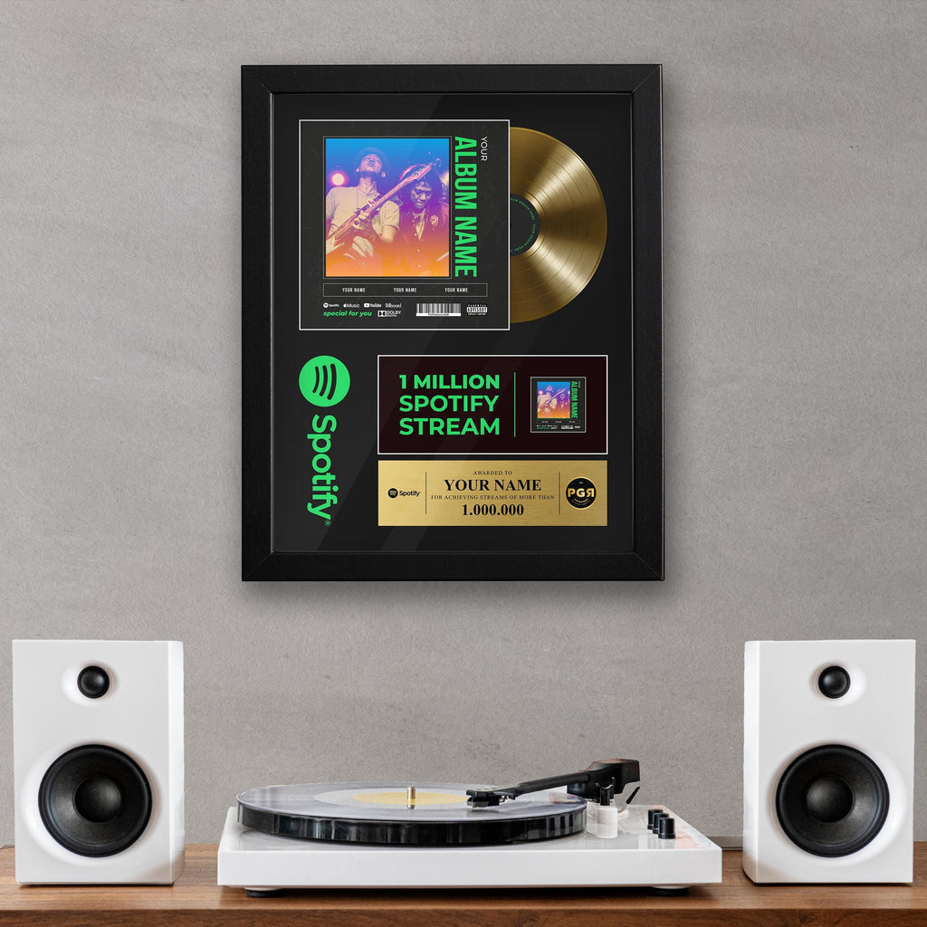 Framed Custom Album Cover & Vinyl Record Display