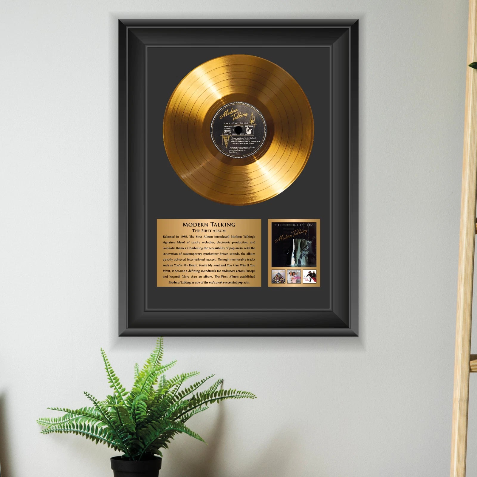 Modern Talking The First Album Gold Record Framed Wall Art Decor