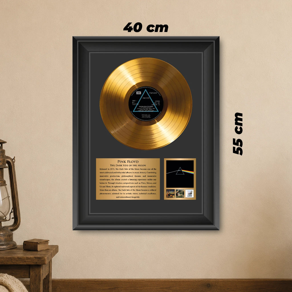 Pink Floyd The Dark Side of the Moon Gold Record Framed Wall Art