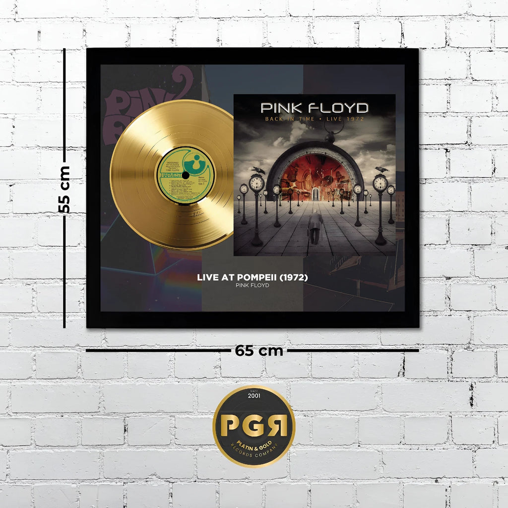Pink Floyd Live at Pompeii Gold Record Framed Wall Art Memorabilia