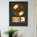 Beastie Boys Licensed to Ill Gold Record Framed Wall Art Memorabilia