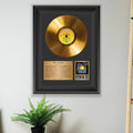 Def Leppard Pyromania Gold Record Framed Wall Art Rock Memorabilia
