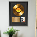 Bruce Springsteen Born to Run Gold Record Framed Wall Art Decor