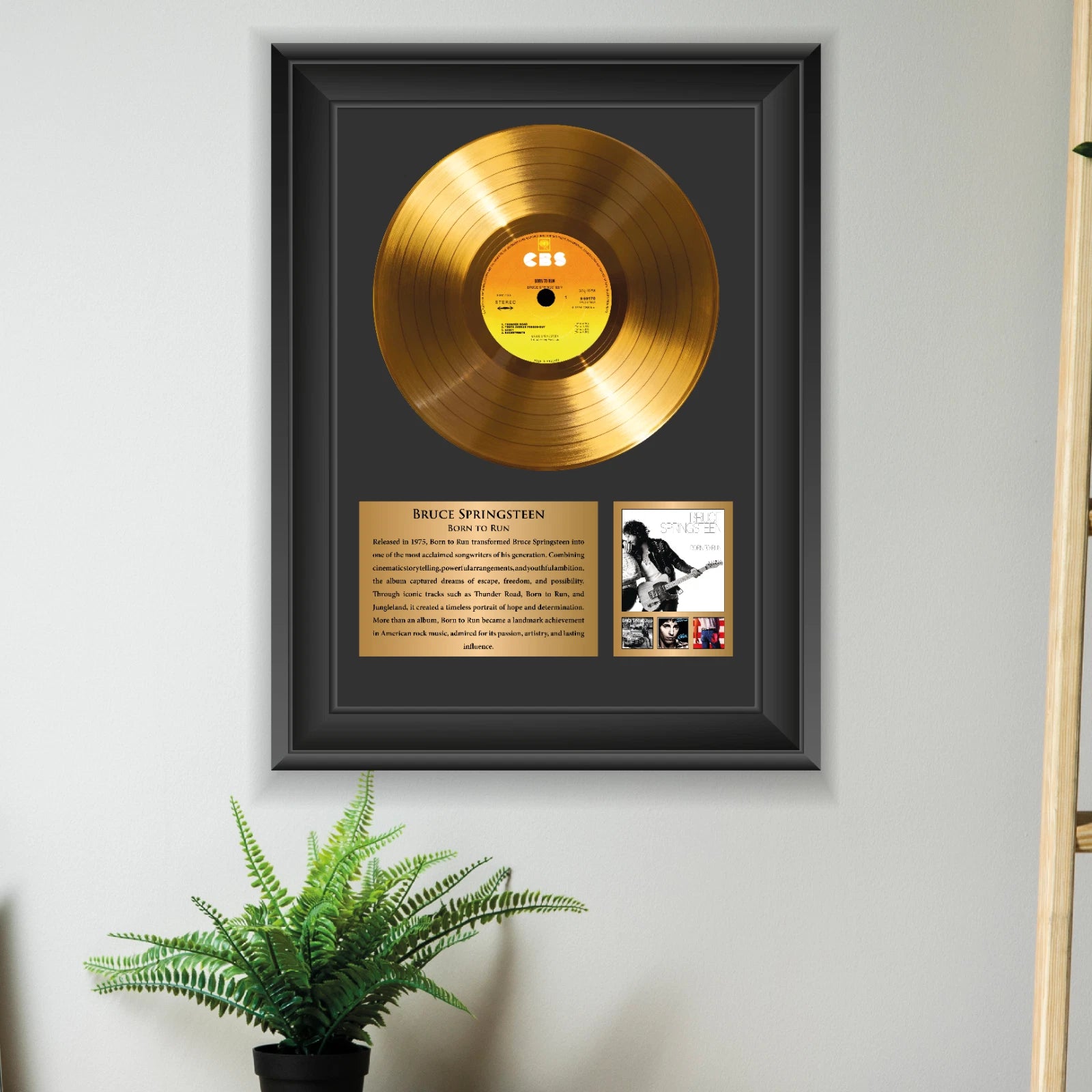 Bruce Springsteen Born to Run Gold Record Framed Wall Art Decor