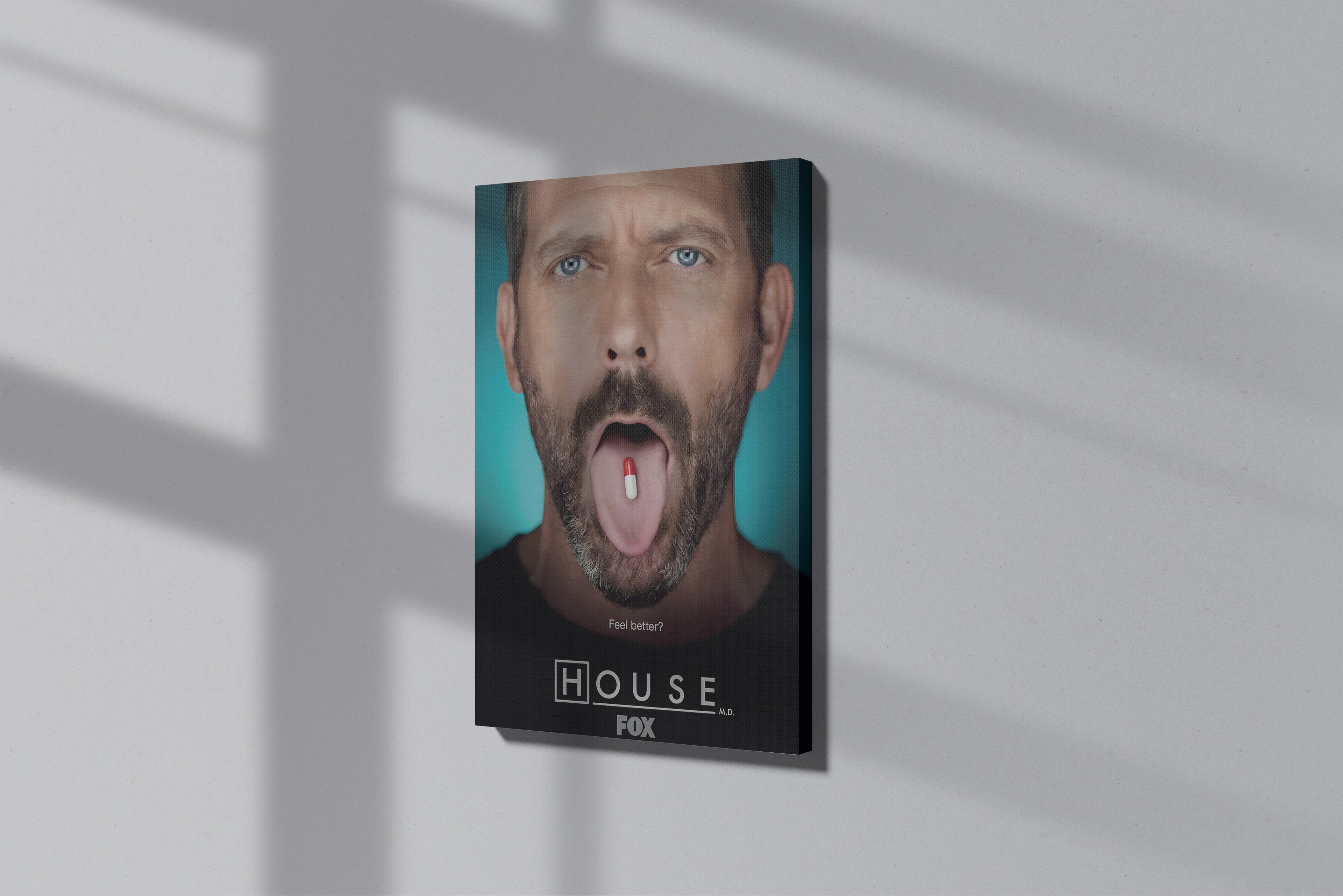 GeekCultcha House M.D. Canvas Painting Expressive Design