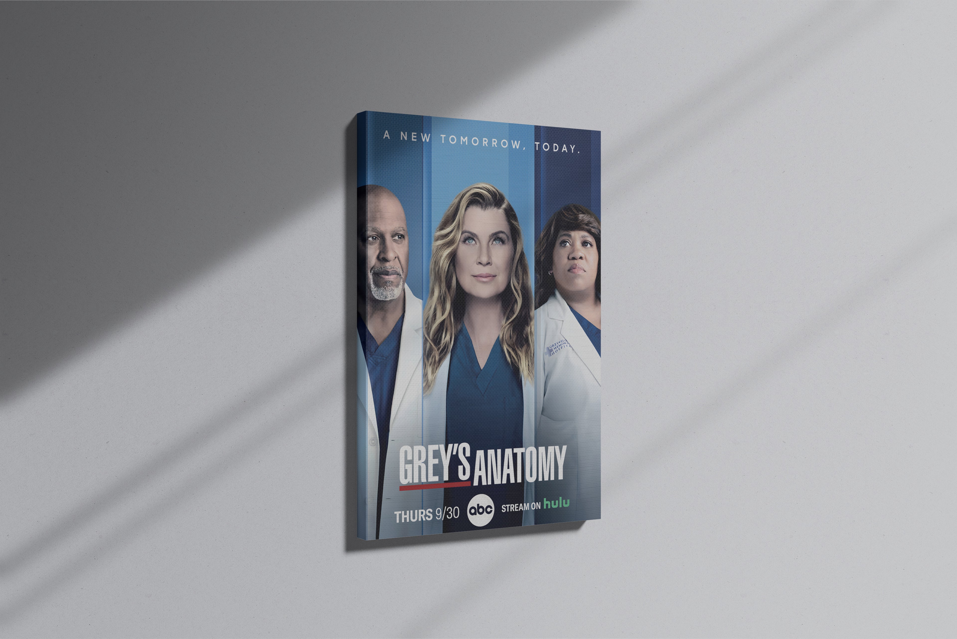 GeekCultcha Grey's Anatomy Character Themed Premium Canvas Painting